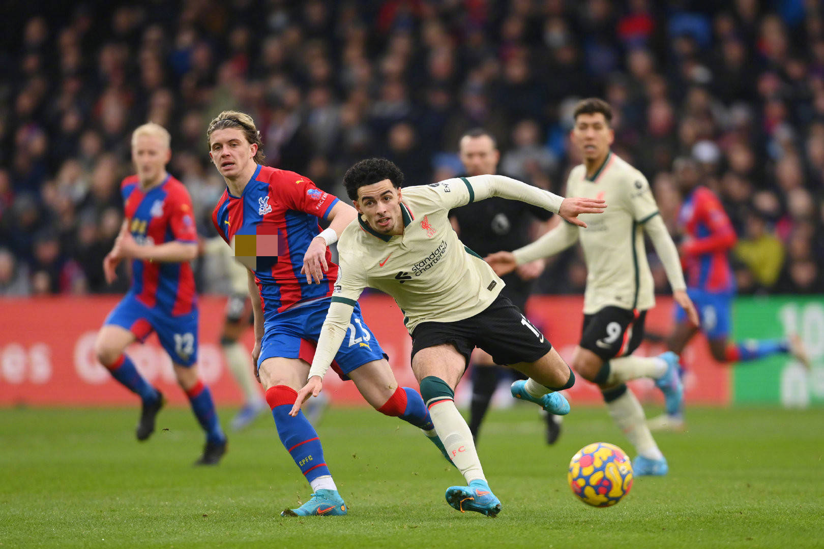 级生死战 级生死战